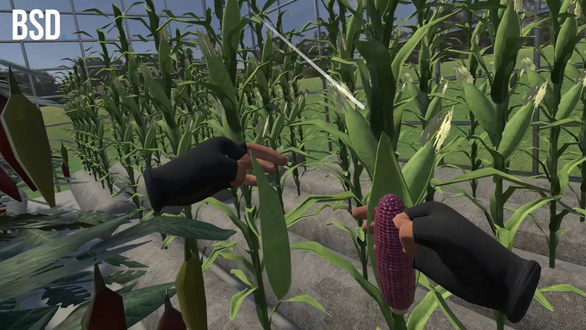 Myera Farms VR